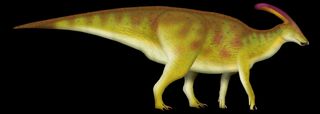 Parasaurolophus walkeri (TotalDino restoration)