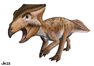 Life reconstruction of Koreaceratops hwaseongensis