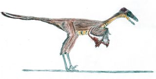 Troodon / Stenonychosaurus life restoration