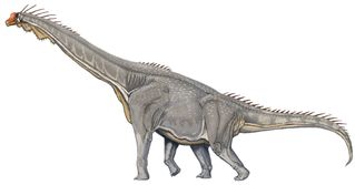 Brachiosaurus altithorax life restoration